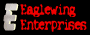 Eaglewing Enterprises - Web Design Services
