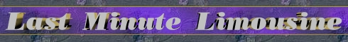 last minute limousine banner