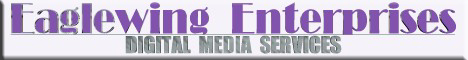 DIGITAL MEDIA SERVICES