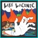 Lake Laconic